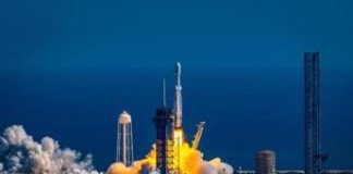 Il segreto per i viaggi nello spazio? I funghi di Chernobyl: la scoperta