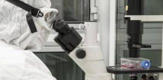 La scoperta per ricaricare le cellule e combattere l’invecchiamento