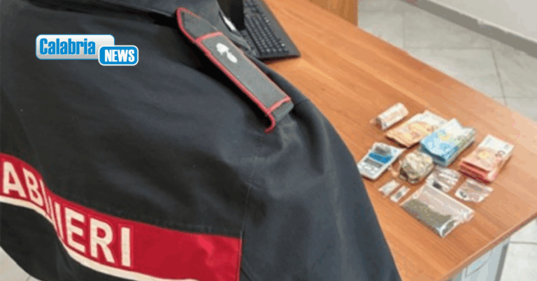 Lamezia, sequestrati cocaina e hashish destinati al mercato di strada: un arresto e una denuncia
