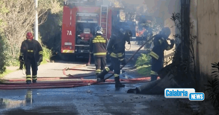 VIDEO-Maida, incendio in capannone commerciale: impegnate diverse squadre dei Vigilfuoco