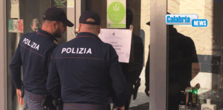 Vasta operazione di Polizia in diverse province: focus su cannabis shop e criminalità diffusa