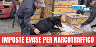 VIDEO-Gdf Reggio sequestra 18 milioni di euro a otto indagati in inchiesta “Eureka”