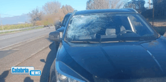 Corigliano-Rossano, investito ciclista sulla SS106: trasportato in codice rosso al Pronto Soccorso