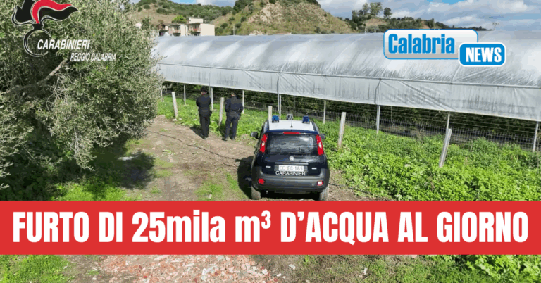 VIDEO-San Luca, serre abusive realizzate su 35mila metri quadri di terreno: 4 persone denunciate