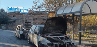 Due auto dello stesso proprietario distrutte da incendio a Santa Domenica Talao, ipotesi dolo