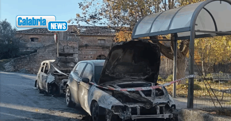 Due auto dello stesso proprietario distrutte da incendio a Santa Domenica Talao, ipotesi dolo