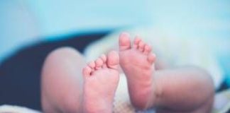 Tre fratelli diventano papà nello stesso giorno, il record