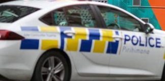 Uovo Fabergé di James Bond inghiottito da un ladro recuperato in Nuova Zelanda