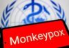 Vaiolo delle scimmie, Oms: “Mpox continua a circolare, a novembre 2.150 casi e 5 morti”