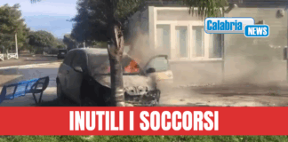 VIDEO-Villapiana, perde controllo auto e si schianta contro una palma: morto il 38enne Basilio Paletta