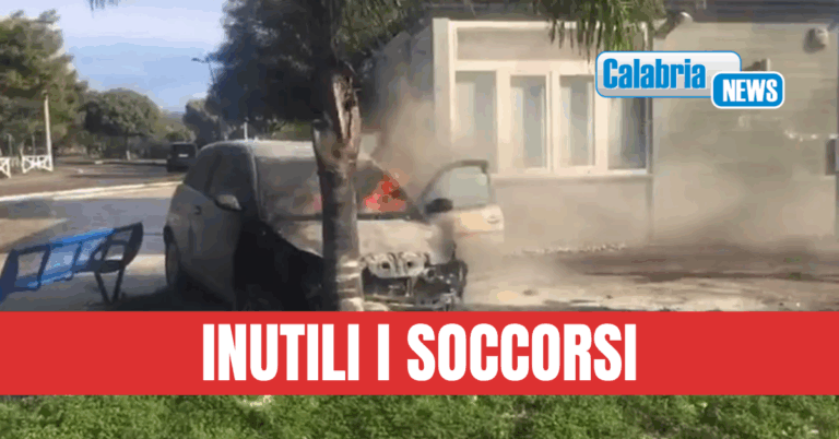 VIDEO-Villapiana, perde controllo auto e si schianta contro una palma: morto il 38enne Basilio Paletta