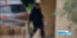 VIDEO-Zungri, pizzicato finto disabile su sedia a rotelle: sequestro preventivo per 144mila euro