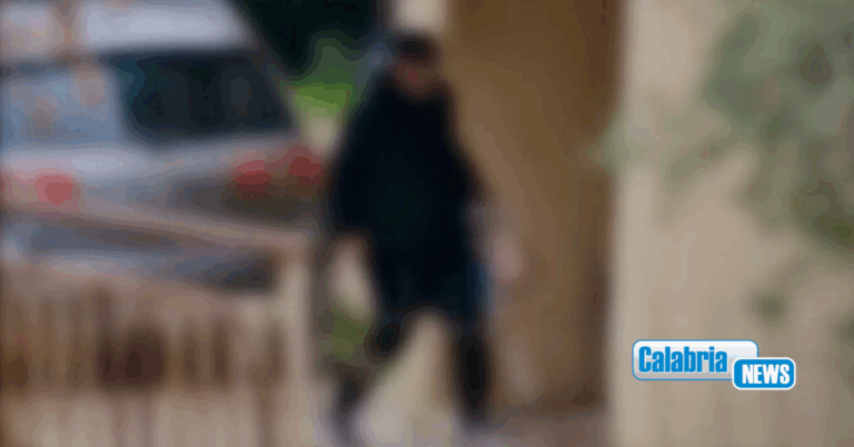 VIDEO-Zungri, pizzicato finto disabile su sedia a rotelle: sequestro preventivo per 144mila euro