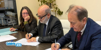 Contrasto violenza di genere: protocollo Asp-Procure Lamezia e Catanzaro a tutela vittime