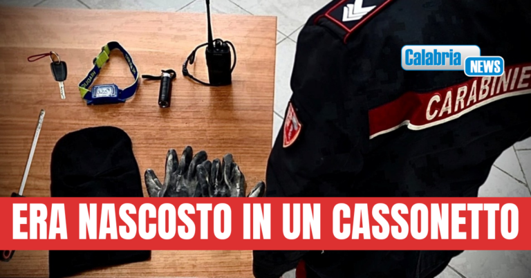 Lamezia, furti nella notte: ladri sorpresi dai Carabinieri, uno arrestato. E’ caccia a complici