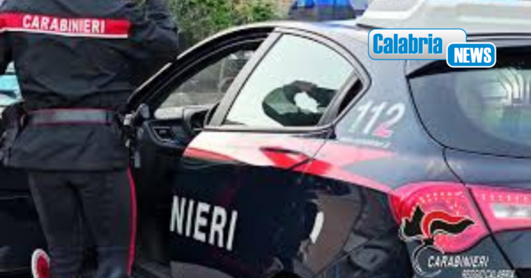 Villa San Giovanni, vendeva pesce dal bagagliaio dell’auto senza refrigerazione: denunciato
