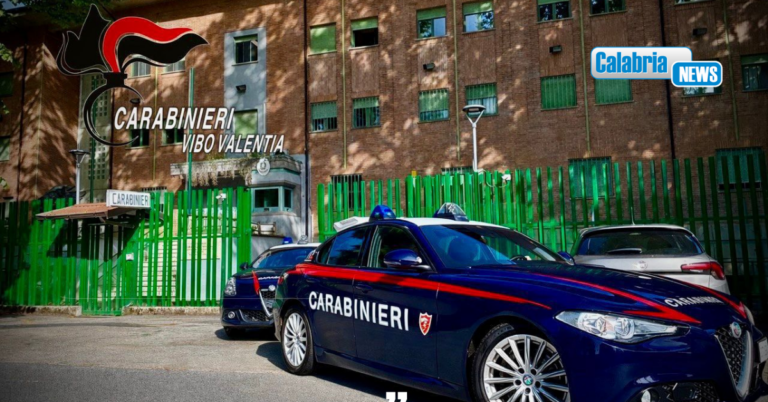 Gestione illecita di rifiuti speciali pericolosi: due denunce a Gerocarne