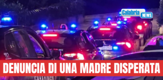 Blitz antidroga tra Macerata e Cosenza, 9 misure: capo affiliato alla ‘ndrangheta