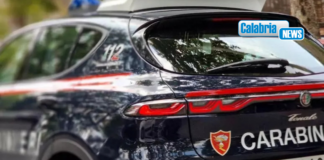 Gioia Tauro, vìola sorveglianza speciale: arrestato 45enne condannato per associazione mafiosa