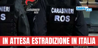 Catturato in Svizzera il latitante di ‘ndrangheta Bruno Vitale affiliato a cosca ‘Gallace’ di Guardavalle