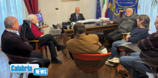 Cosenza, incontro Sindaco-Comitato No Scippo: confermare hub sanitario a Vaglio Lise
