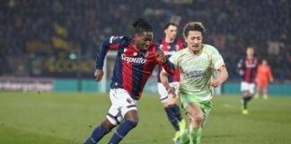 Europa-League, Bologna-Celtic 2-2: Dallinga e Rowe riprendono gli scozzesi