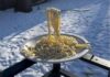 Freddo artico negli Usa, gli spaghetti si congelano e restano sospesi: il video è virale