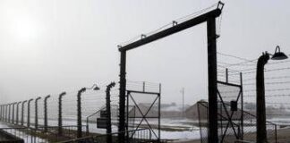 Giorno della Memoria, Meloni: “Pagina buia, condanniamo complicità del regime fascista”