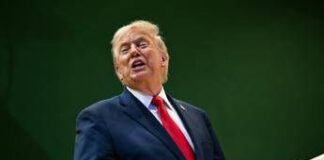 Groenlandia, Trump dice sì all’accordo: decisivo ok a basi Usa sull’isola