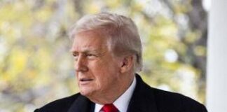 Groenlandia, Ue prepara risposta ai dazi di Trump: piano da 93 miliardi