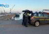 Crotone, pesca di frodo: militari GdiF sequestrano circa 25 Kg di novellame di sarda