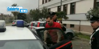 Arrestato il latitante Giuseppe Scornaienchi, scovato in un’area rurale di Cetraro
