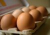 Le uova proteggono il cuore e allungano la vita, lo studio