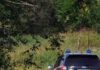 Messina, trovati tre cadaveri crivellati di colpi nel bosco di Montagnareale: si tratterebbe di tre cacciatori