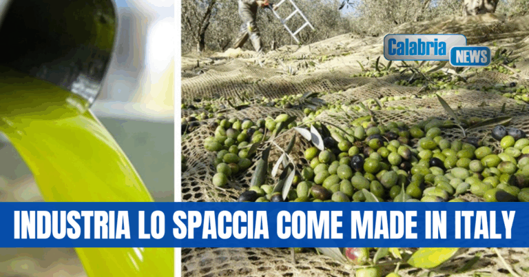 Coldiretti/Unaprol: raddoppio import olio tunisino a dazio zero, grave danno per la Calabria