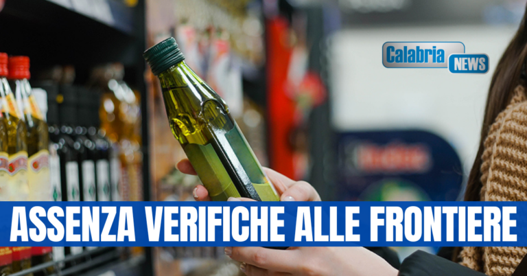 Coldiretti Calabria: i trafficanti di olio esistono, lo certifica la Corte dei conti europea