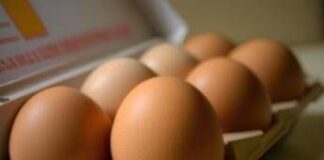Quattro uova a settimana per ‘curare’ sistema nervoso, vista e pelle: cosa dice l’immunologo