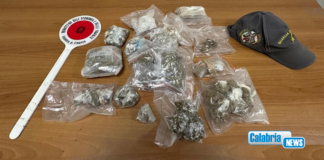 Corigliano-Rossano, detenzione e spaccio droga: GdiF esegue due misure cautelari