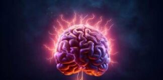 Se l’orologio del cervello non funziona bene, la mente usa lo spazio: l’esperimento italiano