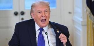 Trump, minaccia finale: “Prendo la Groenlandia con le buone o con le cattive”