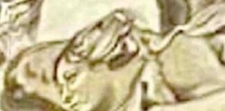 “Volto Meloni in un affresco dopo restauro in basilica di Roma”, Pd chiede intervento Giuli