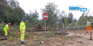 Maltempo: Anas chiude tratti strada per frane e allagamento nel Cosentino e nel Vibonese