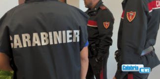Lamezia, offensiva dei Carabinieri contro spaccio droga: un arresto e una denuncia