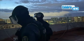 Blitz all’alba a Napoli: 9 arresti tra camorristi e affiliati a ‘ndrina Nirta-Strangio di Reggio Calabria