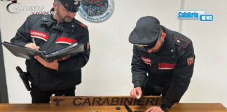 Linguaggio in codice e consegne a domicilio: Sgominata rete di spaccio nel Reventino