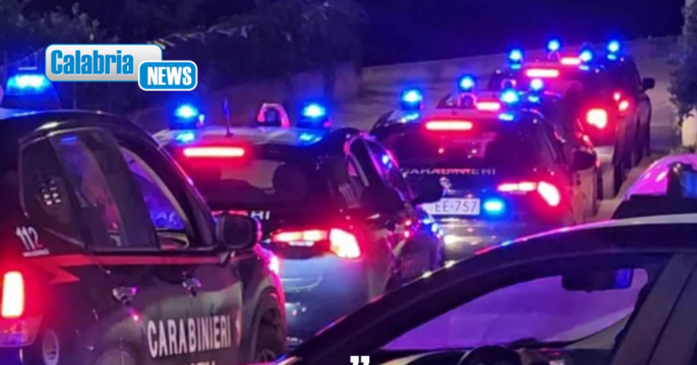 Operazione anti-‘ndrangheta: estorsione e turbata libertà degli incanti, 7 arresti nel crotonese
