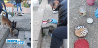 VIDEO-Cassano Ionio, Polizia sequestra eroina e cocaina nelle palazzine del quartiere Doria
