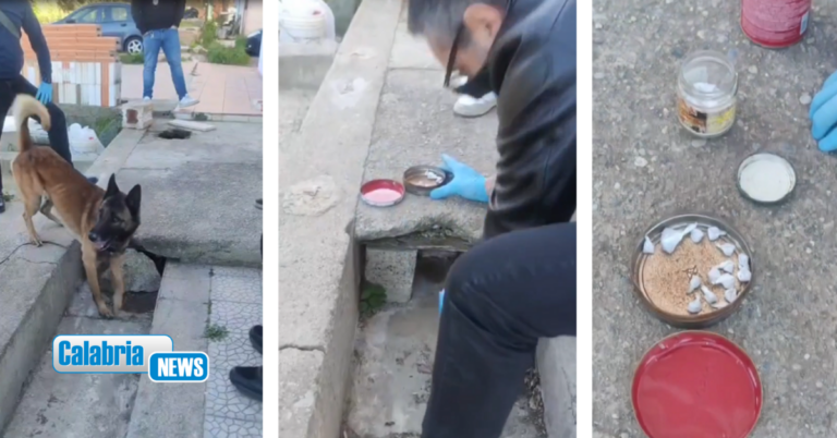 VIDEO-Cassano Ionio, Polizia sequestra eroina e cocaina nelle palazzine del quartiere Doria