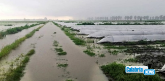 Coldiretti, oltre 3.000 ettari colpiti dal maltempo in Calabria: difficile fare stima danni economici