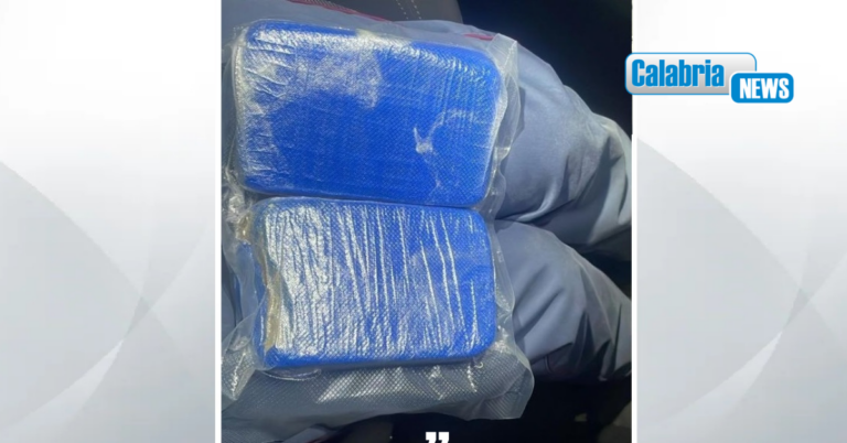 Droga sintetica destinata alla movida: la Polizia arresta un uomo nel Catanzarese